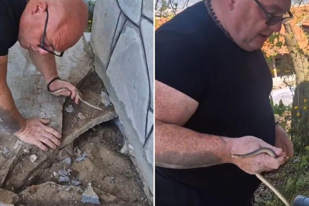 Lovac na zmije upozorio na DRUGU opasnu životinju: Zavuče se u kuću da je ne primetite, a NAPADA kad ne očekujete