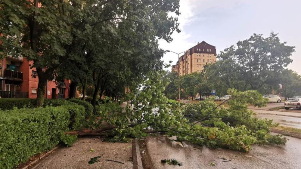 Deo stabla pao u dvorištu vrtića u Nišu!