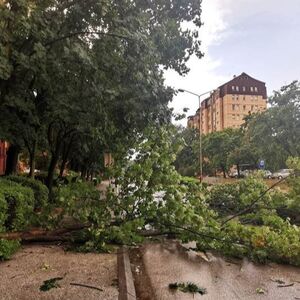 Deo stabla pao u dvorištu vrtića u Nišu!