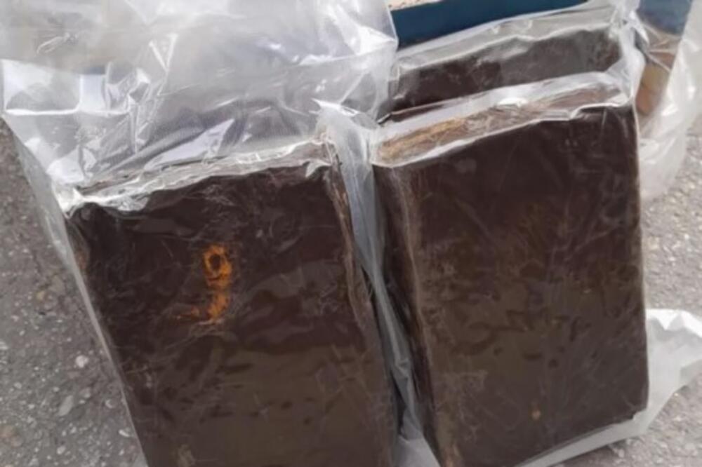 Krili kokain u bananama: Velika zaplena u Novom Sadu, oglasio se i Dačić!