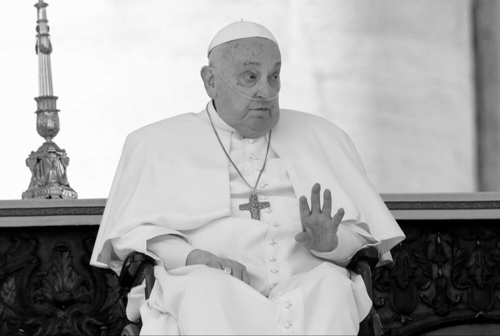 Papa Franja, ilustracija