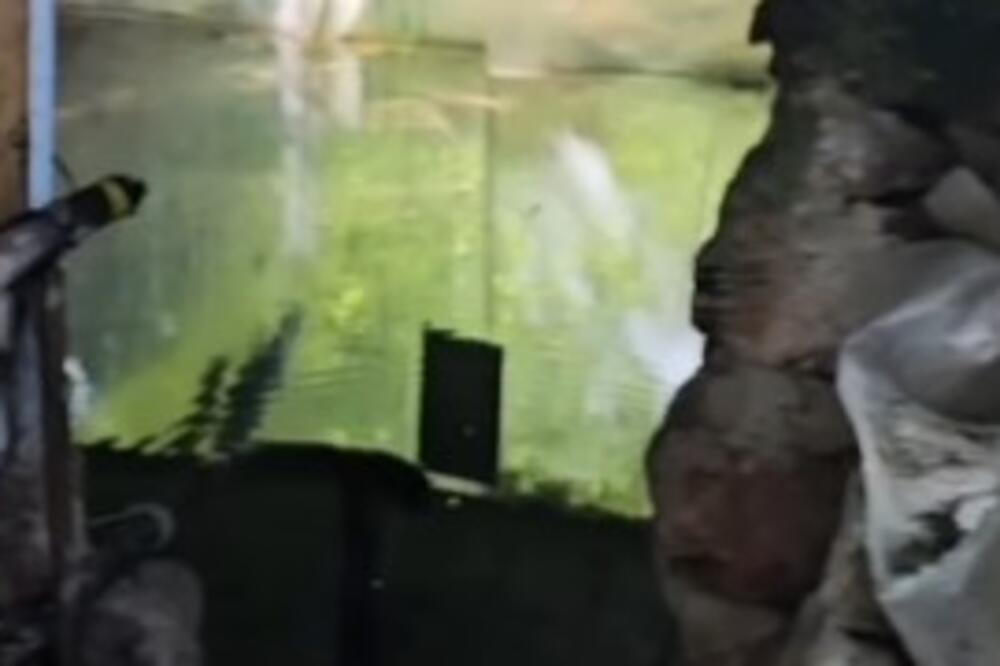 Za ovu banju mnogi ne znaju ni da postoji: Skriveni je dragulj Srbije (VIDEO)