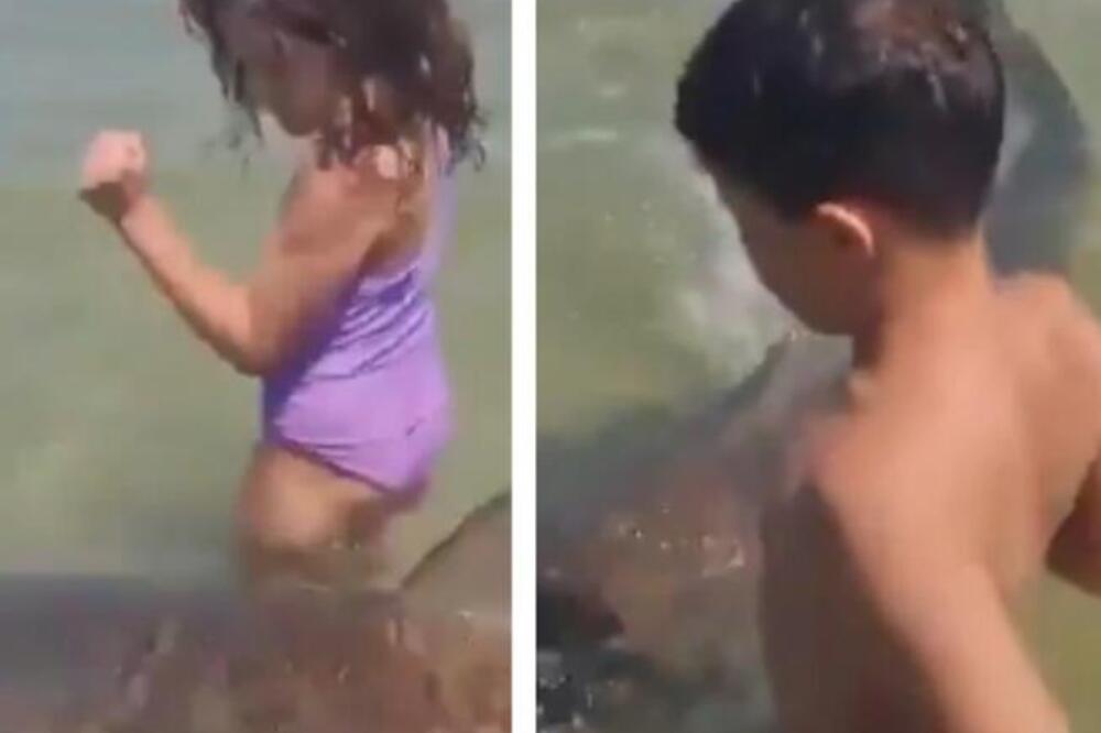 Horor snimak se širi mrežama: Deca stoje u plićaku dok im se ajkula mota oko nogu, a onda voda postaje crvena VIDEO