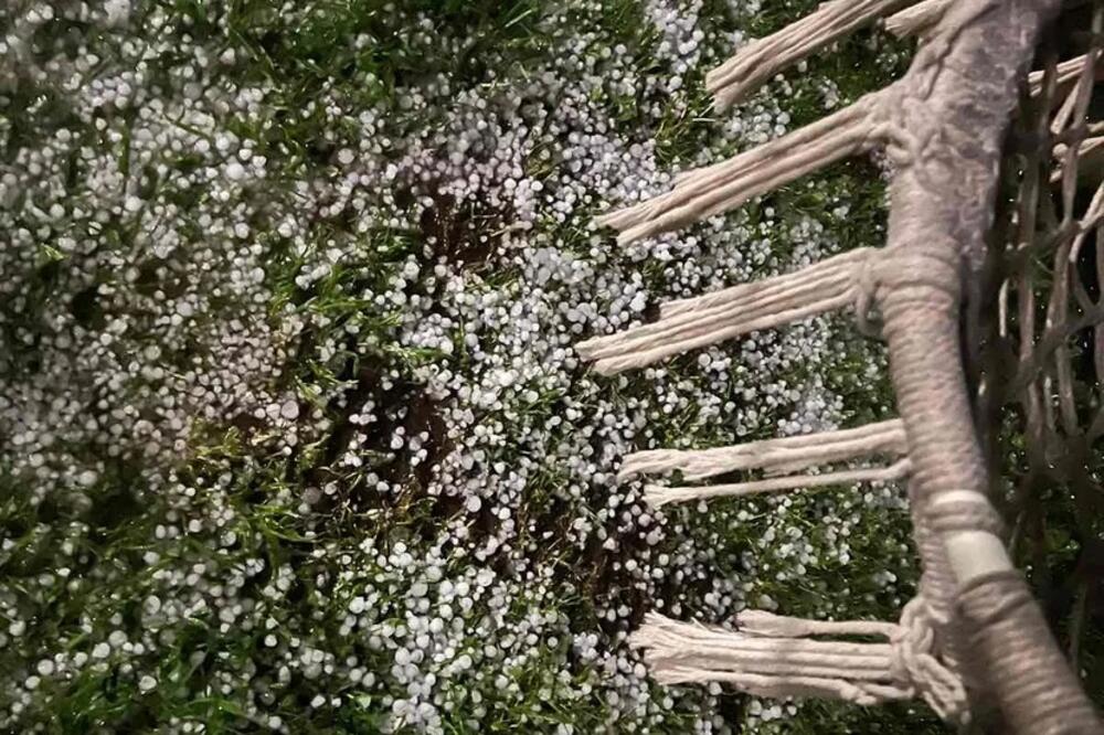 Oglasilo se Ministarstvo poljoprivrede, šumarstva i vodoprivrede Srbije