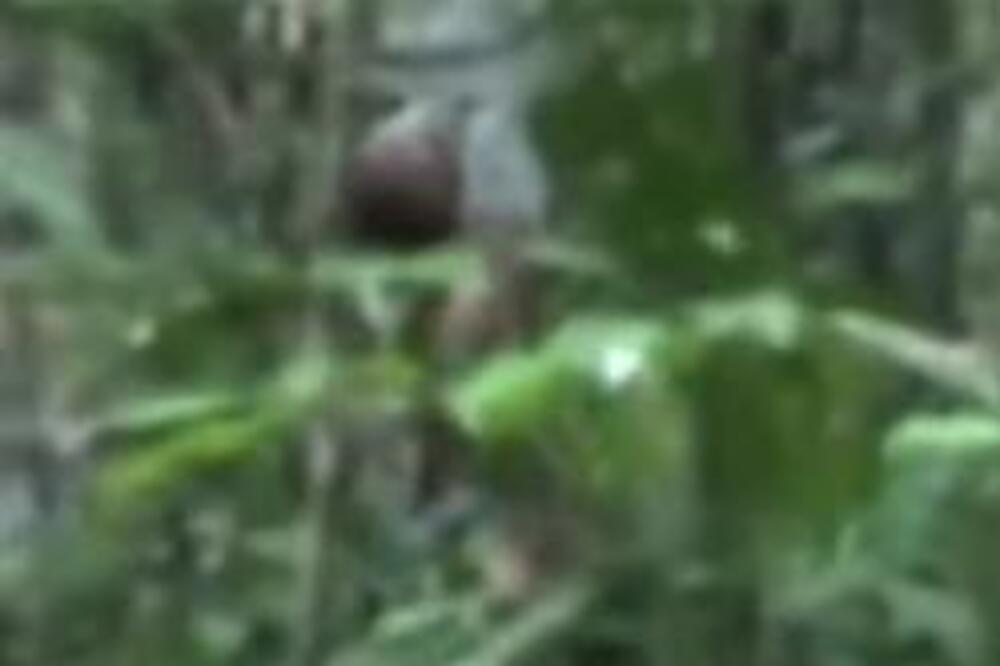 Ovo je najusamljeniji čovek na svetu: Izbegavao je kontakt sa spoljnim svetom, a kad je video kameru... (VIDEO)