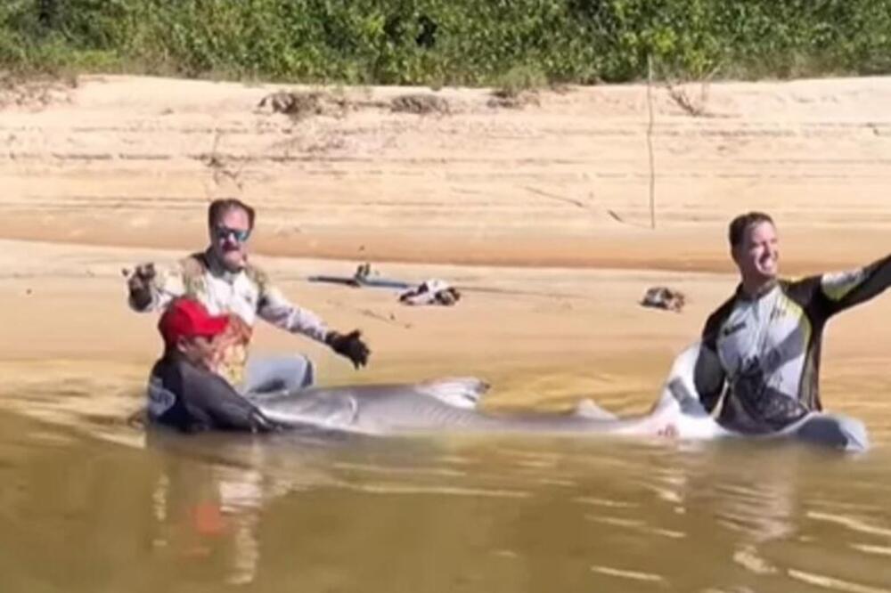 Pecaroš jedva izvukao ulov, a kada je ugledao šta je na udici ostao u mestu skamenjen! Odmah je stvorenje uzeo da..