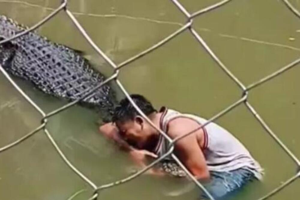 Ušao u vodu sa krokodilom da napravi selfi, pa gadno zažalio! Zver ga prevrtala, pa uhvatila u smrtonosni...(VIDEO)