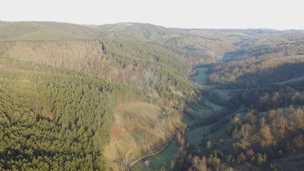 Prvi maj na Suvoboru