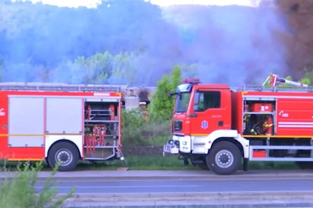 Veliki požar na Košutnjaku: Gust dim je vidljiv nad celim Beogradom!