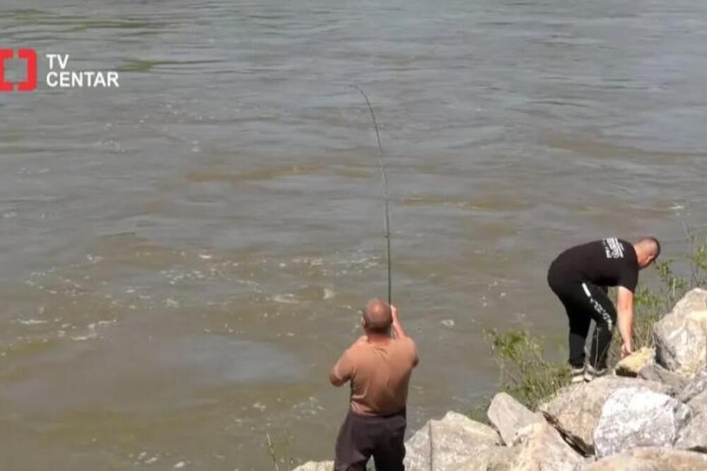 Svilajčani za 1. maj izvukli pravu zver iz Morave: Čim su ga ugledali, uradili neverovatnu stvar, gledajte (VIDEO)