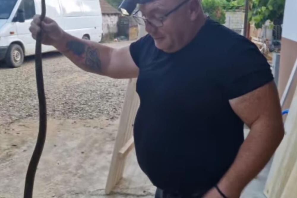 Vladica našao 3 zmije u dvorištu porodične kuće Stamenkovića: Dve su bile normalne, a 3. kao zver iz džungle! FOTO