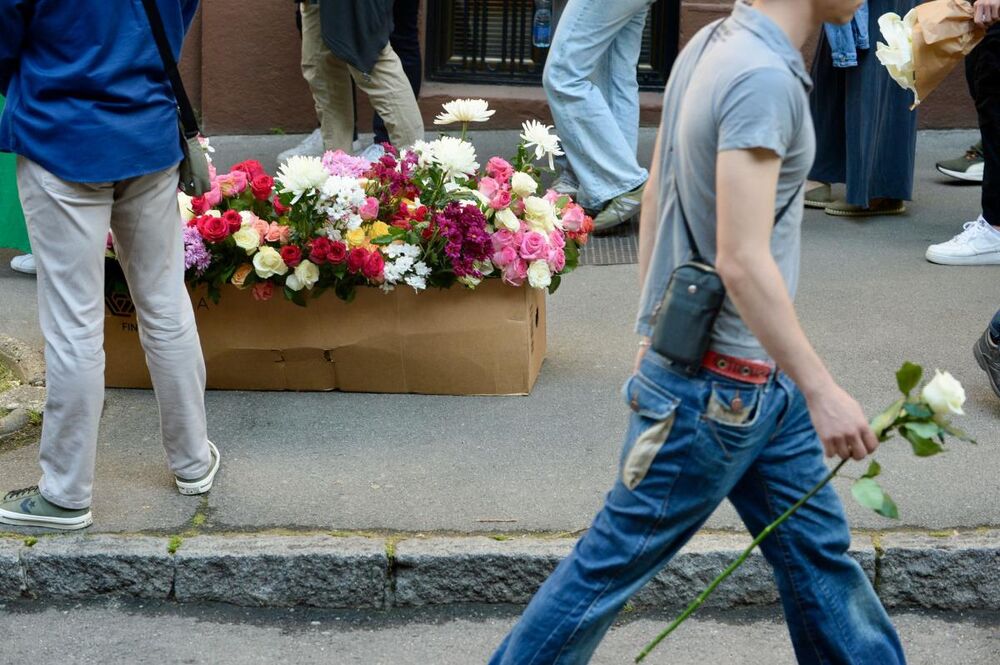 OŠ Vladislav Ribnikar