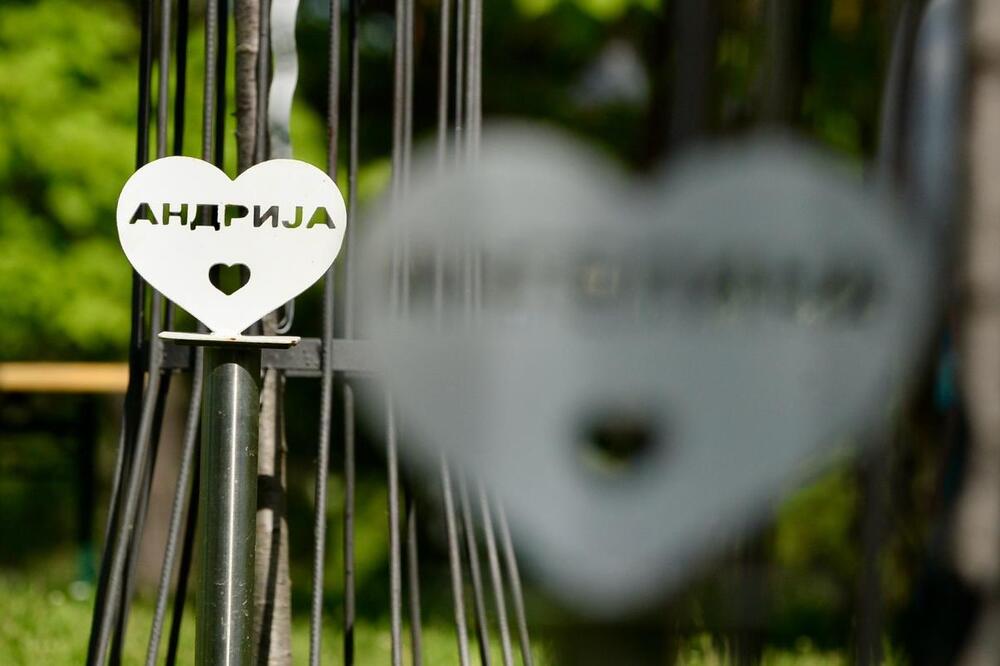 Potresno! Evo šta se dešava na mestu gde je posađeno 10 japanskih trešanja za žrtve iz Ribnikara