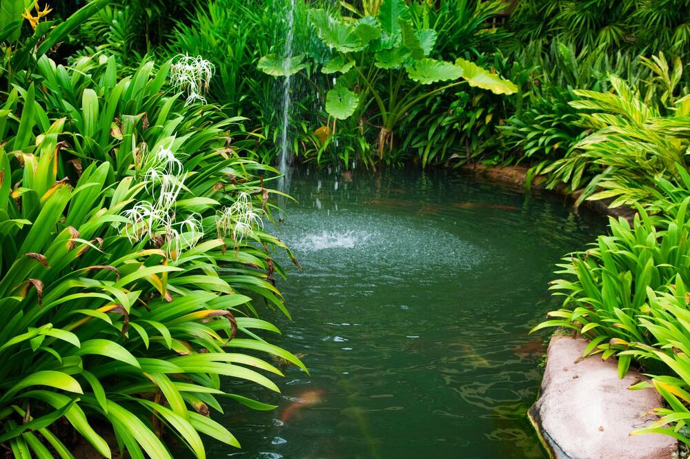 UREDITE SVOJE DVORIŠTE IZ SNOVA: Uživajte u vašem kutku napolju uz OVU fontanu!