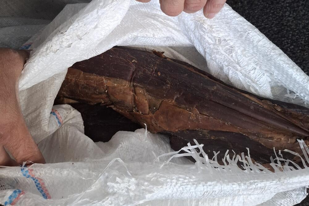 Šta se ovo desilo na Horgošu?! Carinici zanemeli kada su otvorili kombi - ljudi, ovo nije realno, kakva zaplena!