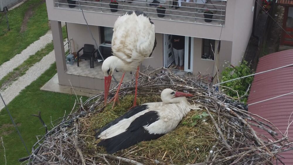 Rode stigle u čačansko naselje Lugovi 