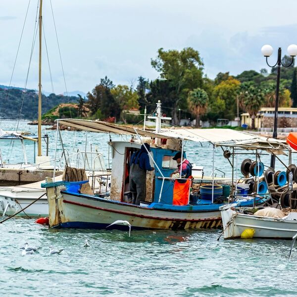 TELO MLADIĆA PRONAĐENO U POTOKU: Kamere snimile jeziv čin, kidnaperi hteli da ga...