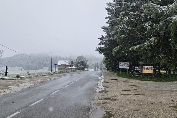 Vozači, oprez: AMSS dao detaljan izveštaj o stanju na putevima, evo gde je najkritičnije!