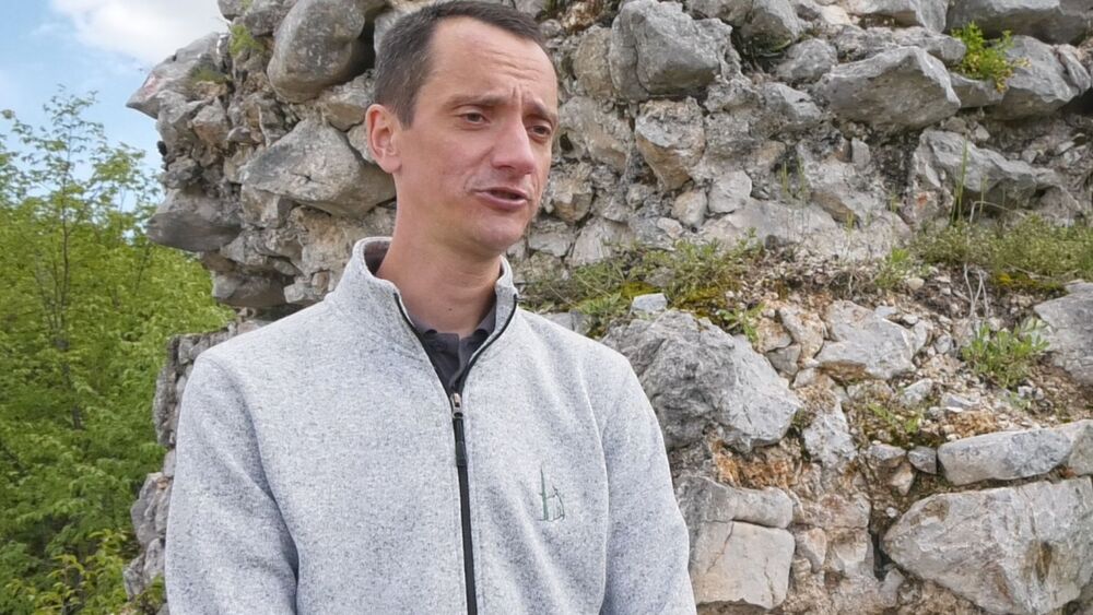 Istoričar Aleksandar Simić