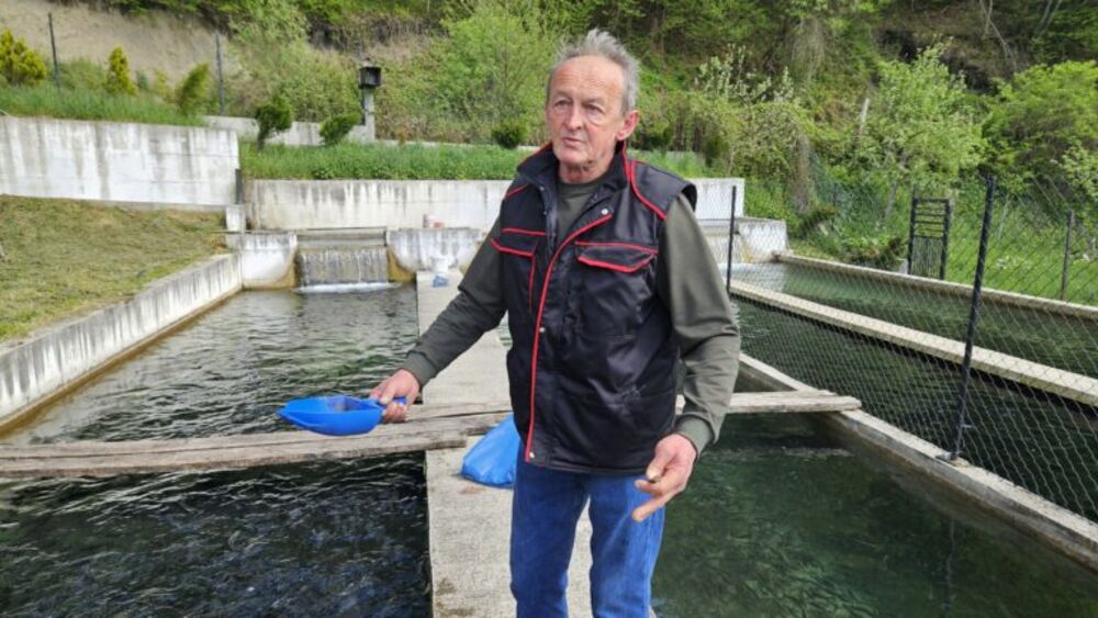 Vojo proizvede preko 20 tona pastrmke godišnje