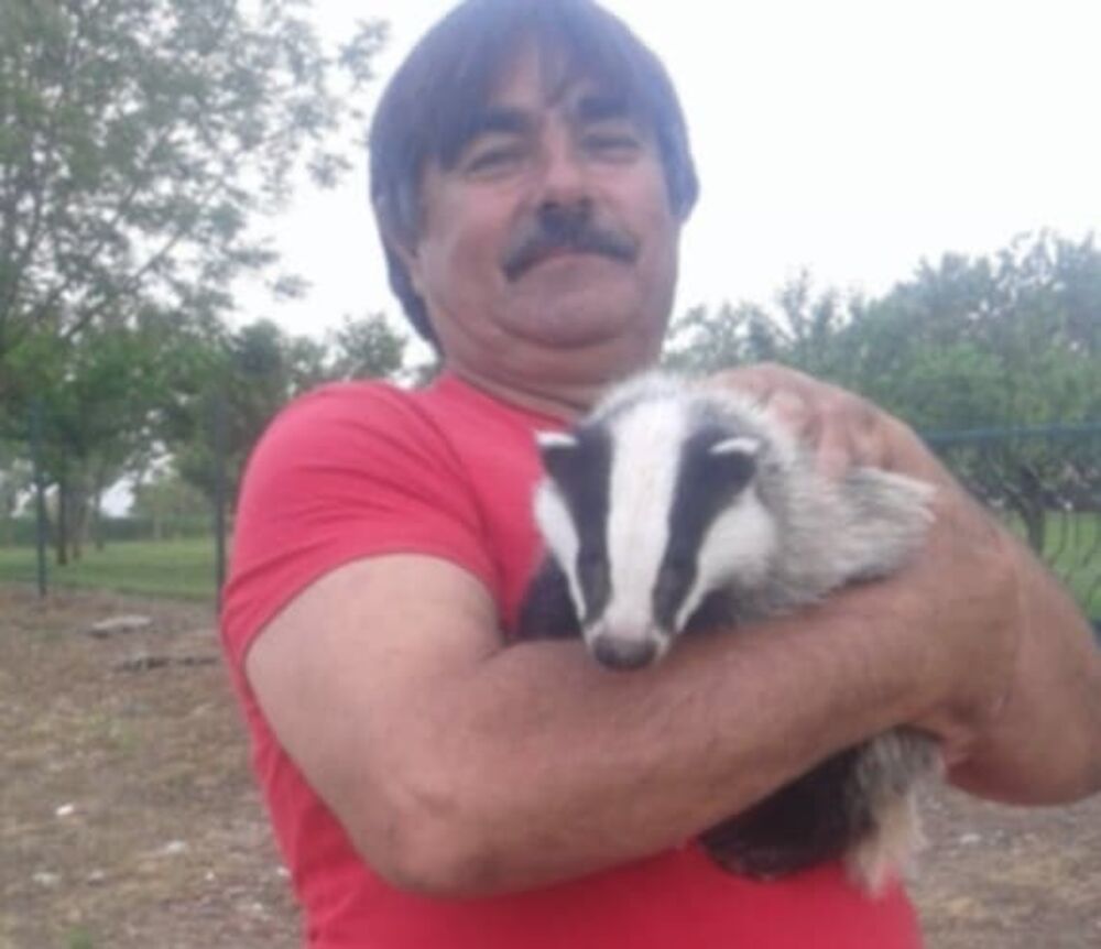 Jazavac Jaza omiljeni na imanju domaćina 