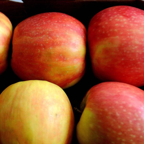 Evo kako prepoznati jabuke naprskane otrovima: Ne slutete šta rade kako bi voće duže trajalo