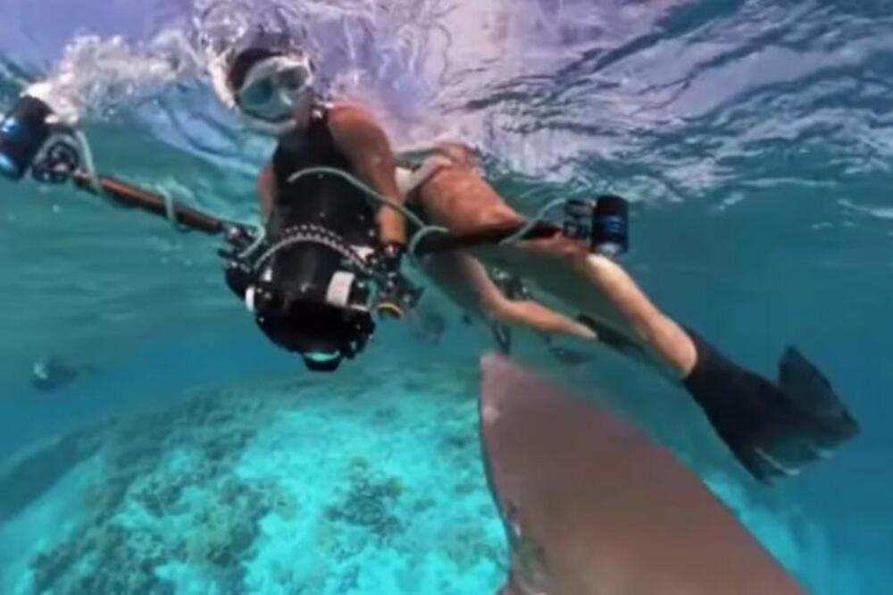 Ženu napalo jato pomahnitalih ajkula! Iznenada je opklolo desetak nemani, ona doslovno vrištala pod vodom! (VIDEO)