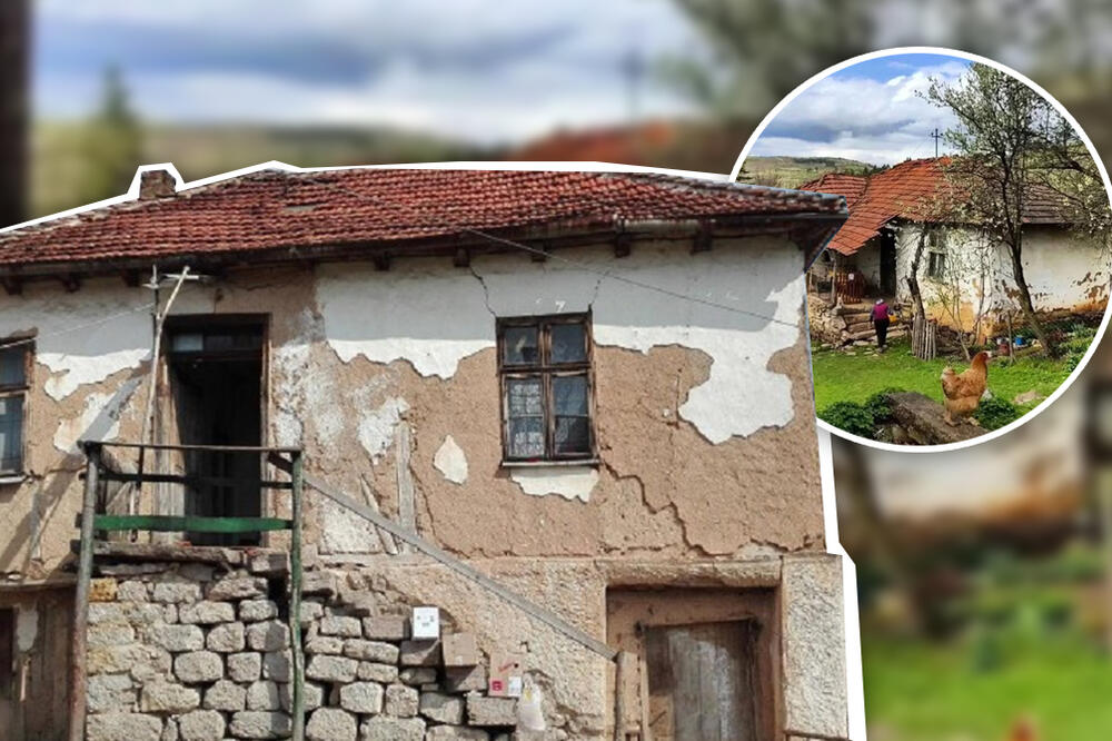 "Bako, oni su prodali sve, nema više ni Džekija: Priča deteta iz Srbije od koje suze same idu.... (FOTO)