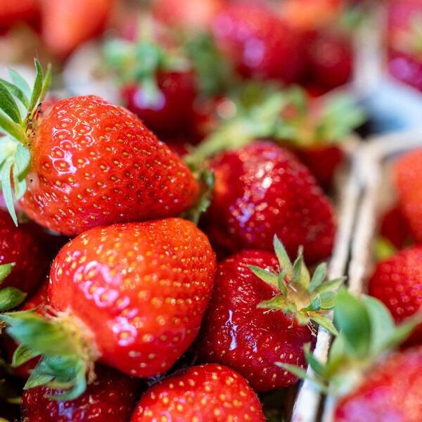 Šta jagode zaista rade vašem organizmu? U samo 100 grama voća se nalazi sve OVO