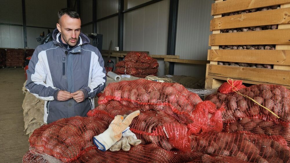 Proizvodnja krompira