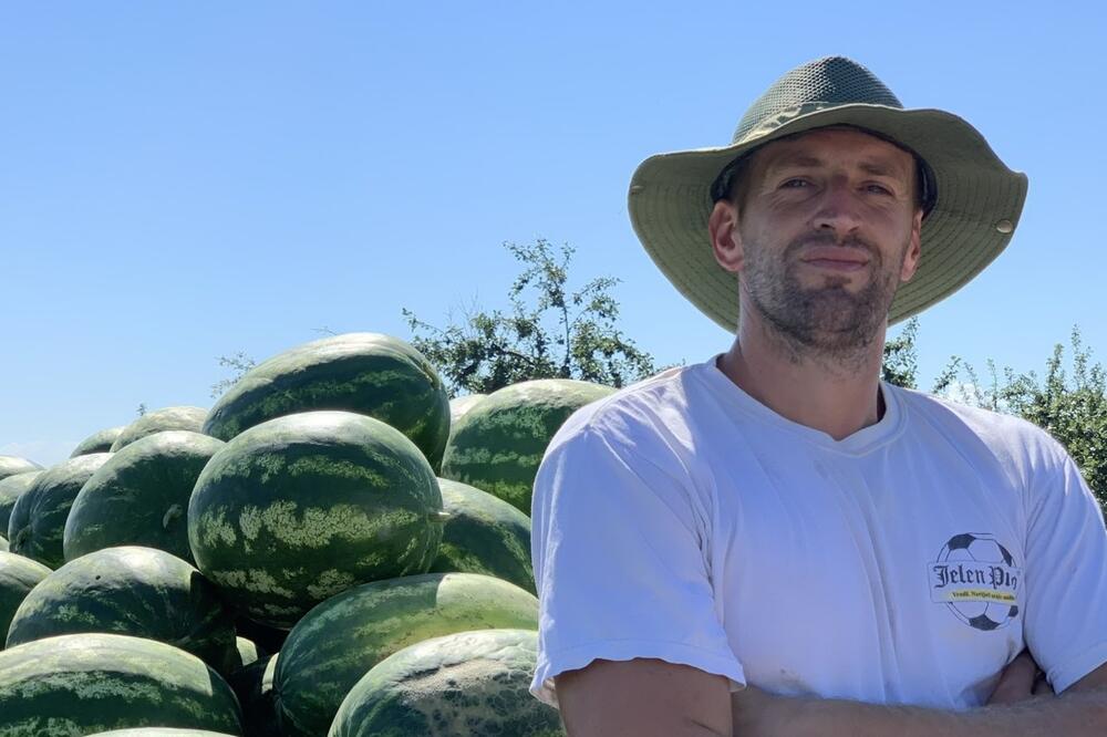 Sava iz Deronja obrađuje preko 100 hektara zemlje: Proizvede 90 tona ove voćke, ima važan savet