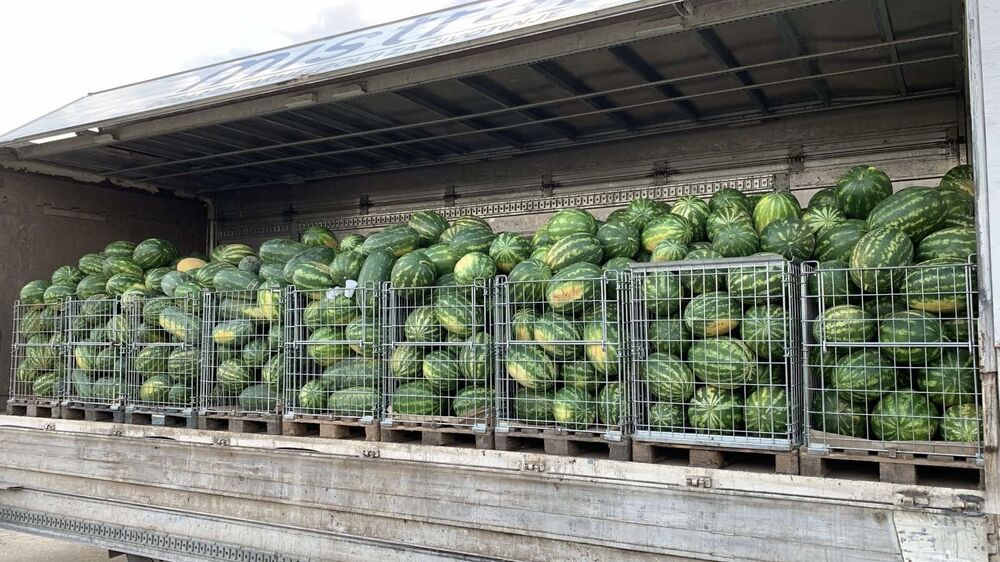 Proizvodnja lubenica