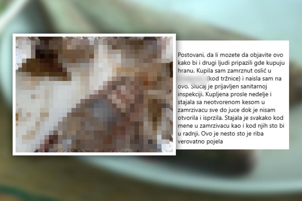 Šapčanka krenula da sprema ribu, a onda joj duša završila u nosu: Pojavilo se odvratno, ljigavo stvorenjce! (FOTO)