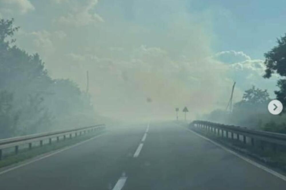 Izbio požar na putu Paraćin-Zaječar! Ne vidi se prst pred okom od dima, vozači, obratite pažnju!
