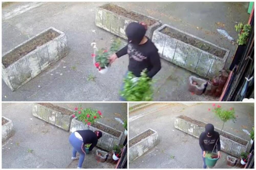 Žena sa fantomkom na glavi zgrozila celu Srbiju! Njen sramni čin uhvaćen na kameri!