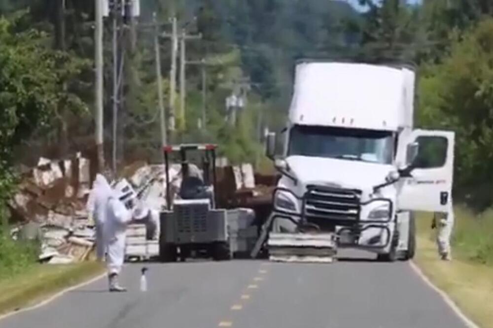 Prevrnuo se kamion sa 250 miliona pčela! Izdato hitno upozorenje građanima (VIDEO)