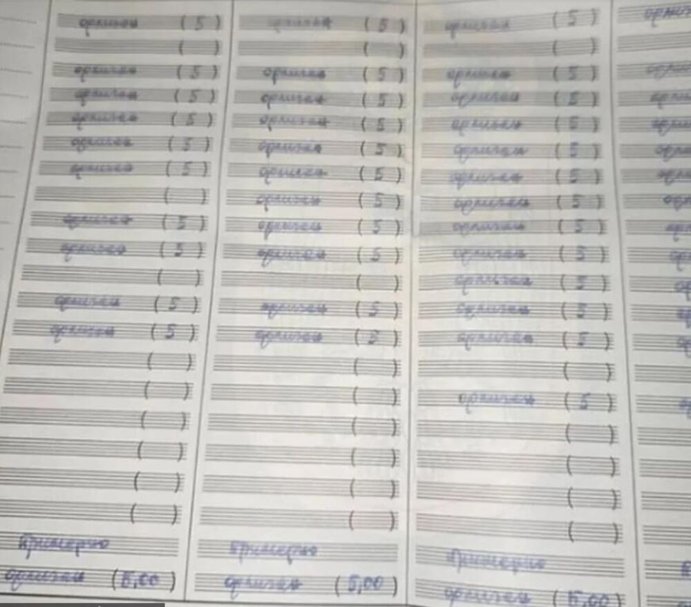 Bila je odličan đak