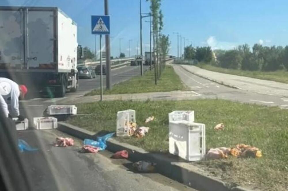 Da li će se ovo naći na našem tanjiru? Vozač kamiona jedva skupio namirnice na putu - Novosađani zgroženi