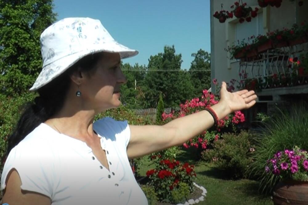 U ovoj bašti ima preko 1.000 najlepših cvetova: Verica sa svojih 10 prstiju napravila rajski vrt u dvorištu (FOTO)