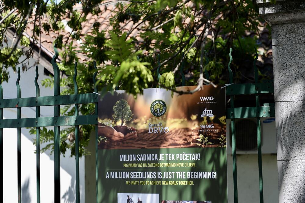 „ZASADI DRVO“: EDUKACIJA ZA NAJMLAĐE I IZLOŽBA POVODOM ISTORIJSKIH MILION POSAĐENIH SADNICA