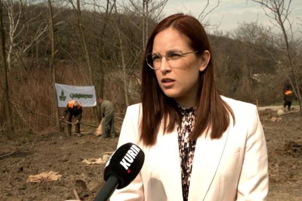 Stiže novi zakon o zaštiti vazduha u Srbiji: Oglasila se ministarka, ovo su ključni detalji