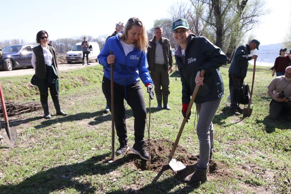 „ZASADI DRVO” – JEDNA IDEJA, ŠEST GODINA, MILION POSAĐENIH SADNICA