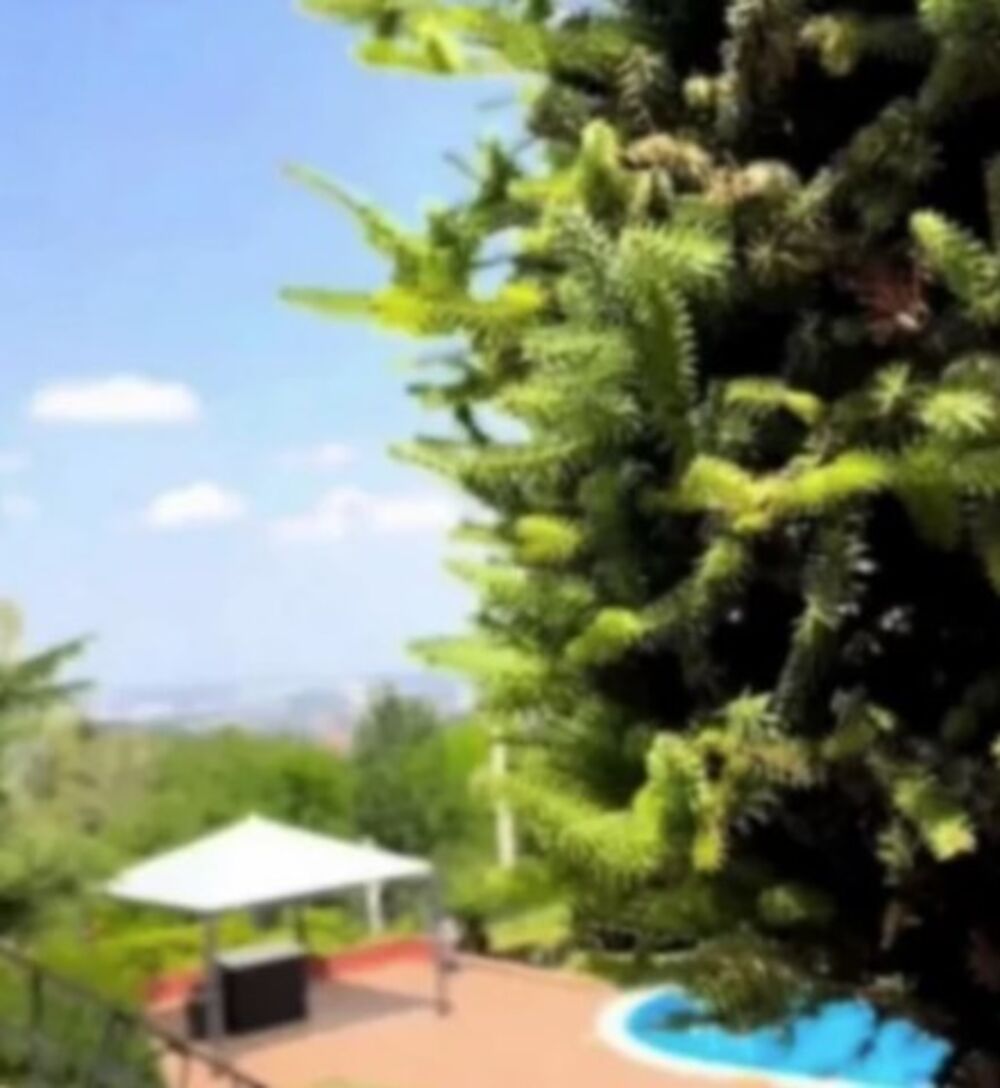 Kristina Radenković