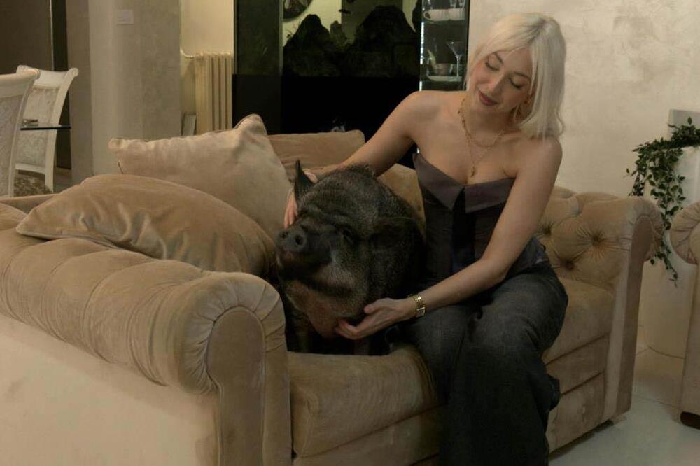 Ne voli blato, samo kauč i uživanje uz TV! Devojka iz Beograda ima hit kućnog ljubimca, svaki gost se šokira (FOTO)