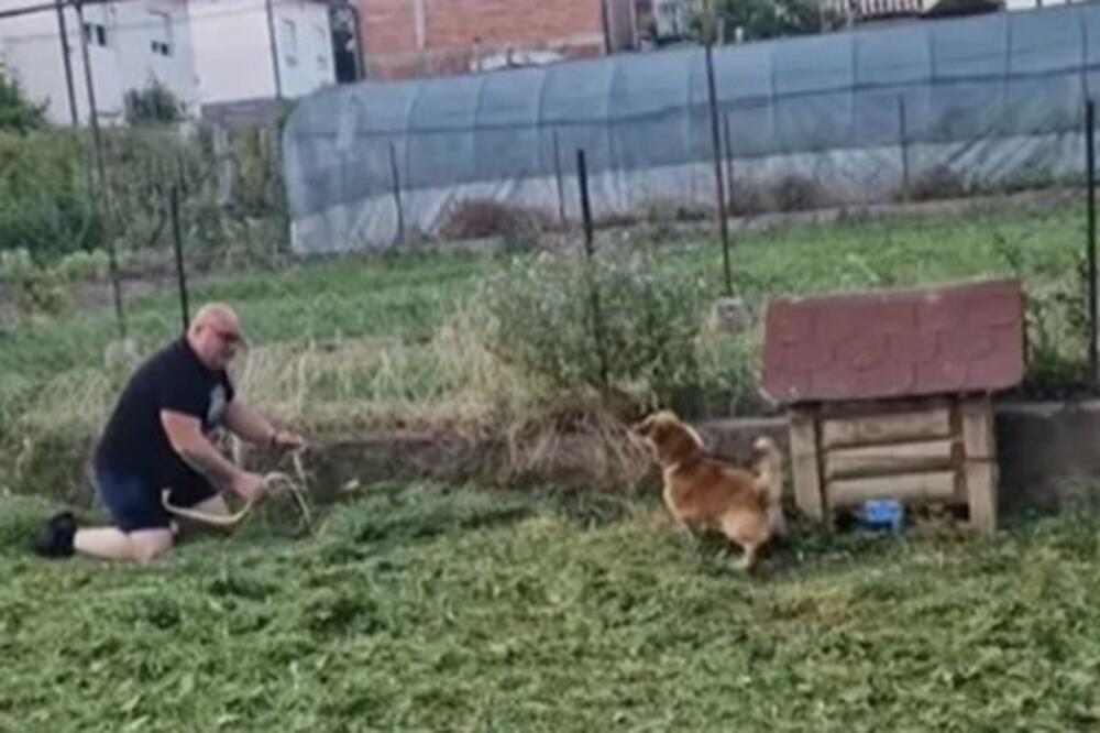 Pas u Srbiji nanjušio leglo...: Šok usledio kada su pogledali iza njegove kućice, pogledajte šta je IZVUČENO!