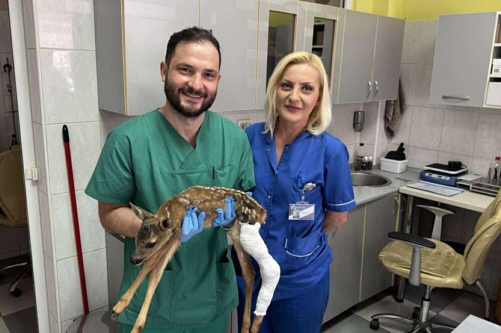 Doktora hitno pozvali da izađe ispred bolnice, tamo ga sačekao nesvakidašnji pacijent: O njegovom podvigu svi bruje