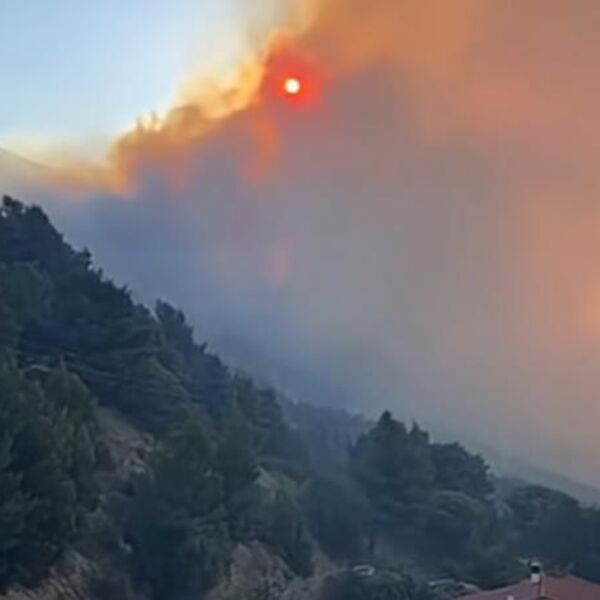 Ogroman požar u Dalmaciji: Gori šuma, vatrogasci daju sve od sebe (VIDEO)