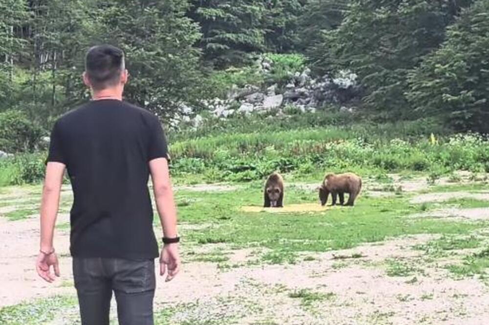 Šta radiš, čoveče? Milan prišao medvedima, a onda su ga oni uočili - Vasić odmah poslao upozorenje sa Kosova