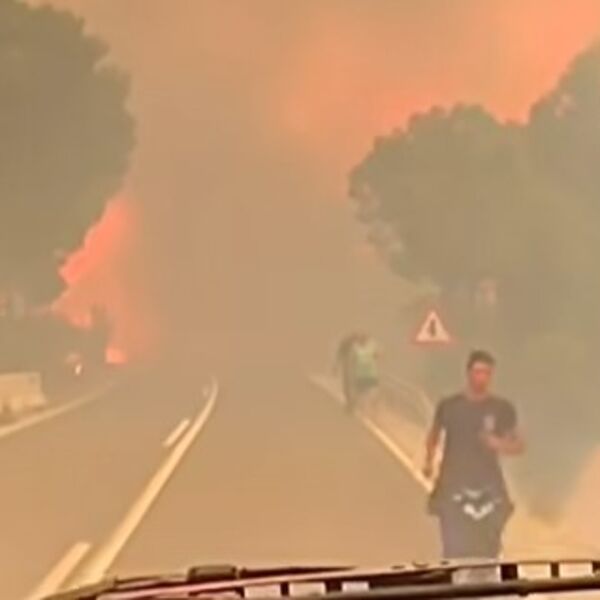OVO JE STRAVIČNO! Užasni prizori požara u Hrvatskoj: Vatra guta sve pred sobom, od dima se ništa ne vidi