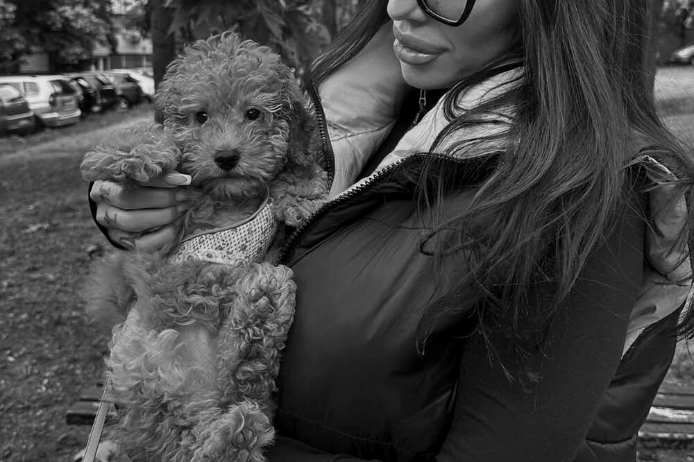 Salon za ljubimce gde je stradala kuca Tili gađan jajima: Pas posle šišanja uginuo, Beograđani besni traže pravdu